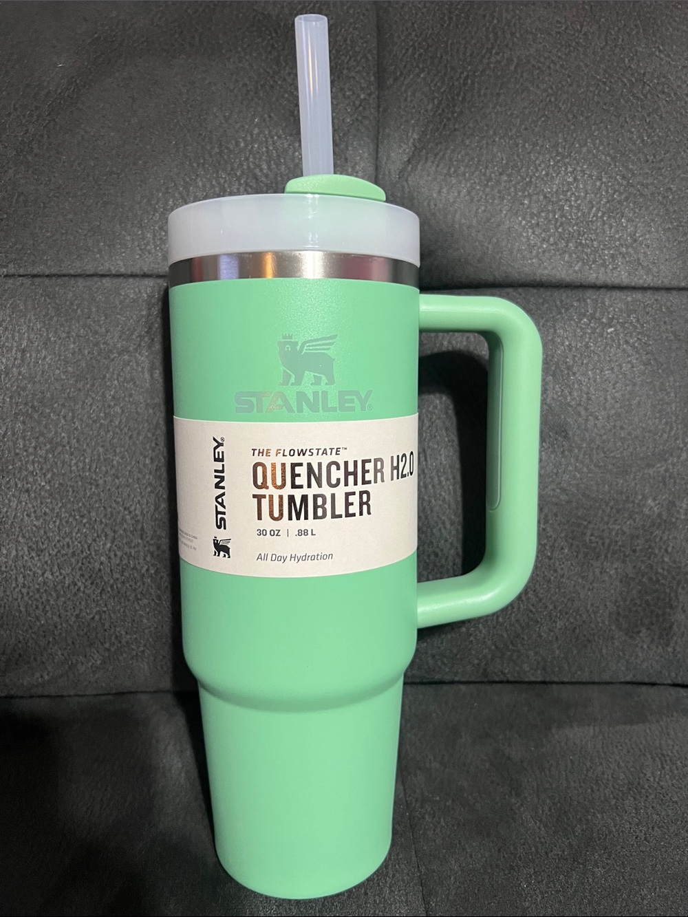 Stanley Quencher H2.0 Tumbler - Mint Green with Straw